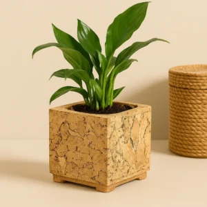 PAIVI ABSTRACT SQUARE CORK PLANTER | ECO-FRIENDLY TABLE DECOR