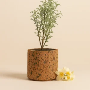 PAIVI ASBTRACT TEXTURE CORK TABLE PLANTER | ECO-FRIENDLY HOME DECOR