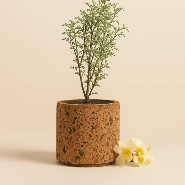 PAIVI ASBTRACT TEXTURE CORK TABLE PLANTER | ECO-FRIENDLY HOME DECOR