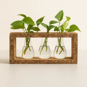 PAIVI CORK FRAME PLANTER WITH 3 GLASS BEAKERS | ECO-MODERN TABLE DECOR