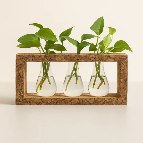 PAIVI CORK FRAME PLANTER WITH 3 GLASS BEAKERS | ECO-MODERN TABLE DECOR