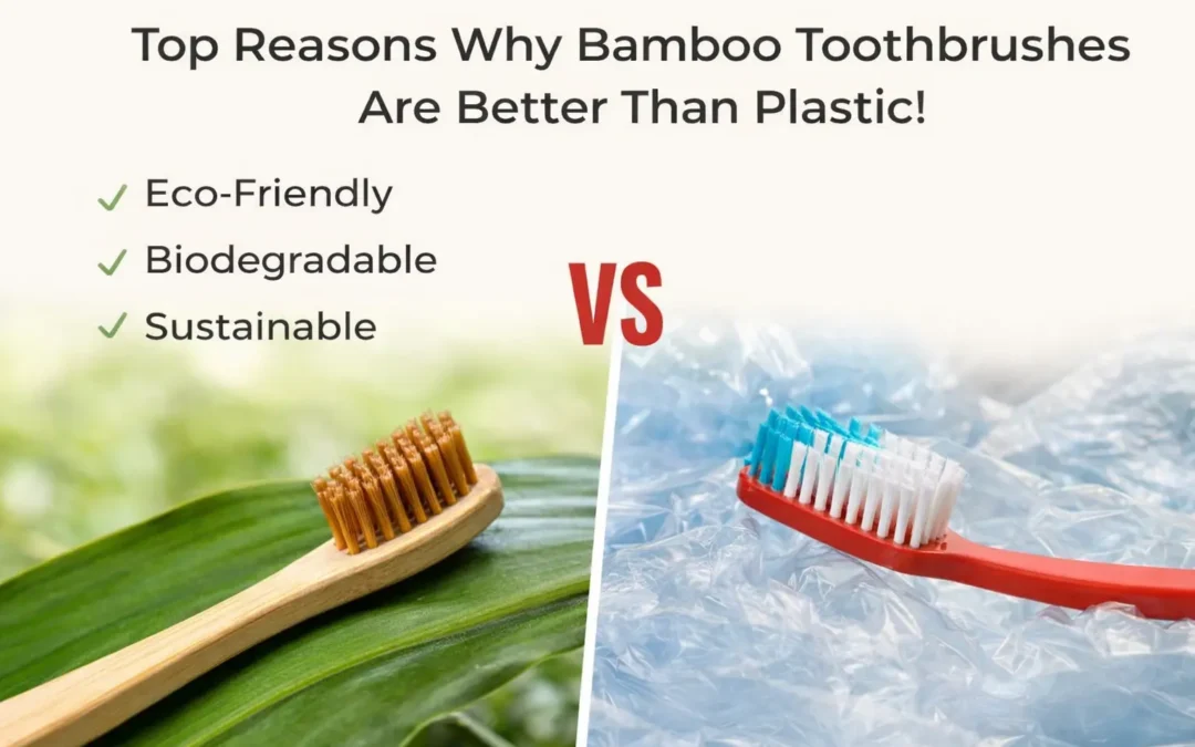 Bamboo toothbrush better than plastics, banner image