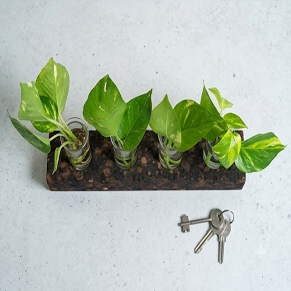 PAIVI Bark Edge Four-Hole Planter - Image 4