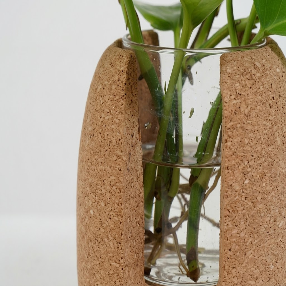 PAIVI Pebble Cork Test Tube Planter with Glass Test Tube - Image 2