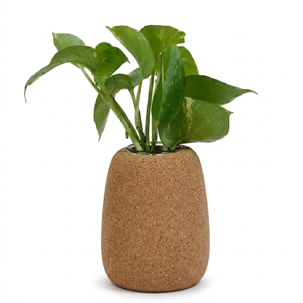 PAIVI Pebble Cork Plant Holder