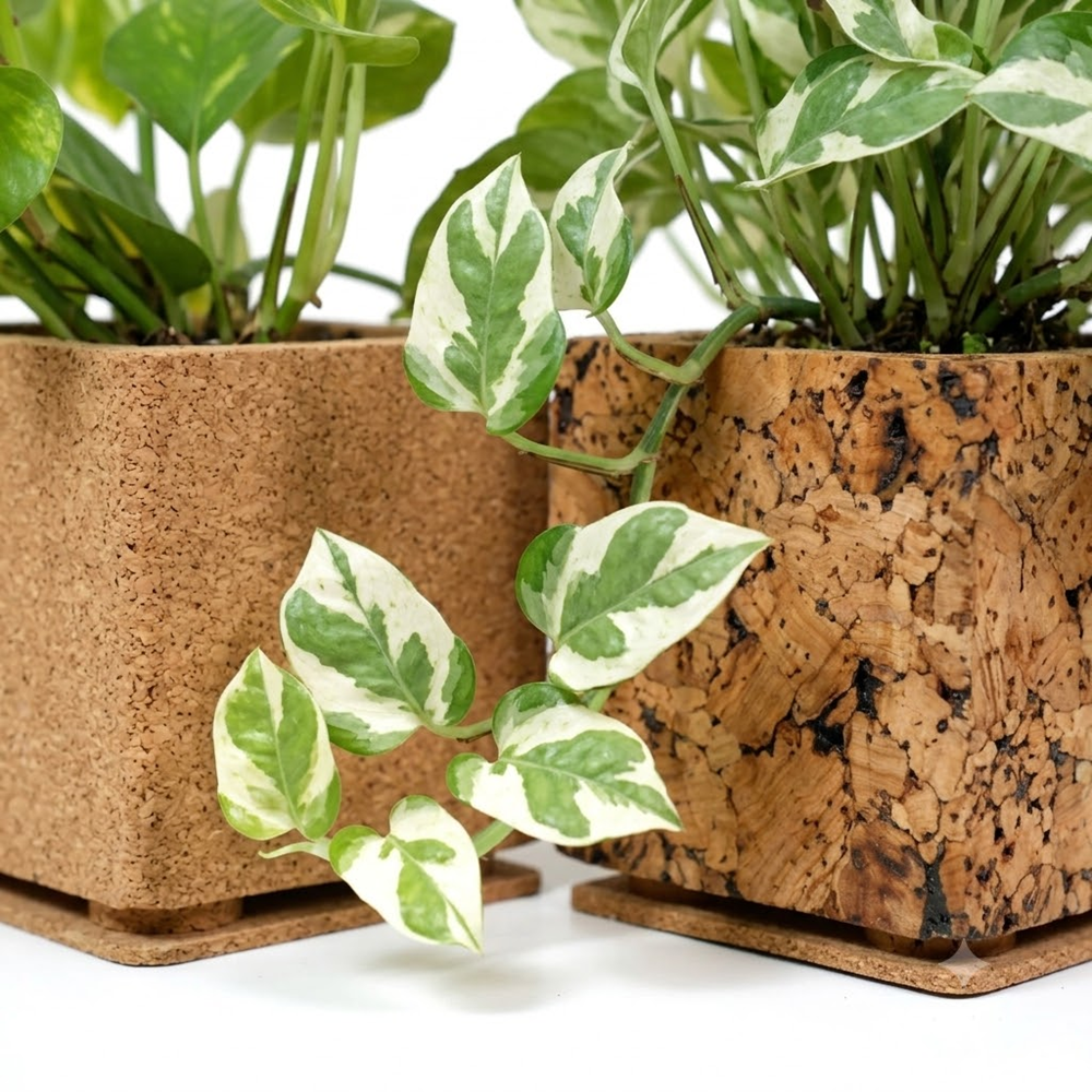 PAIVI Abstract Print Cork Planter - Image 3