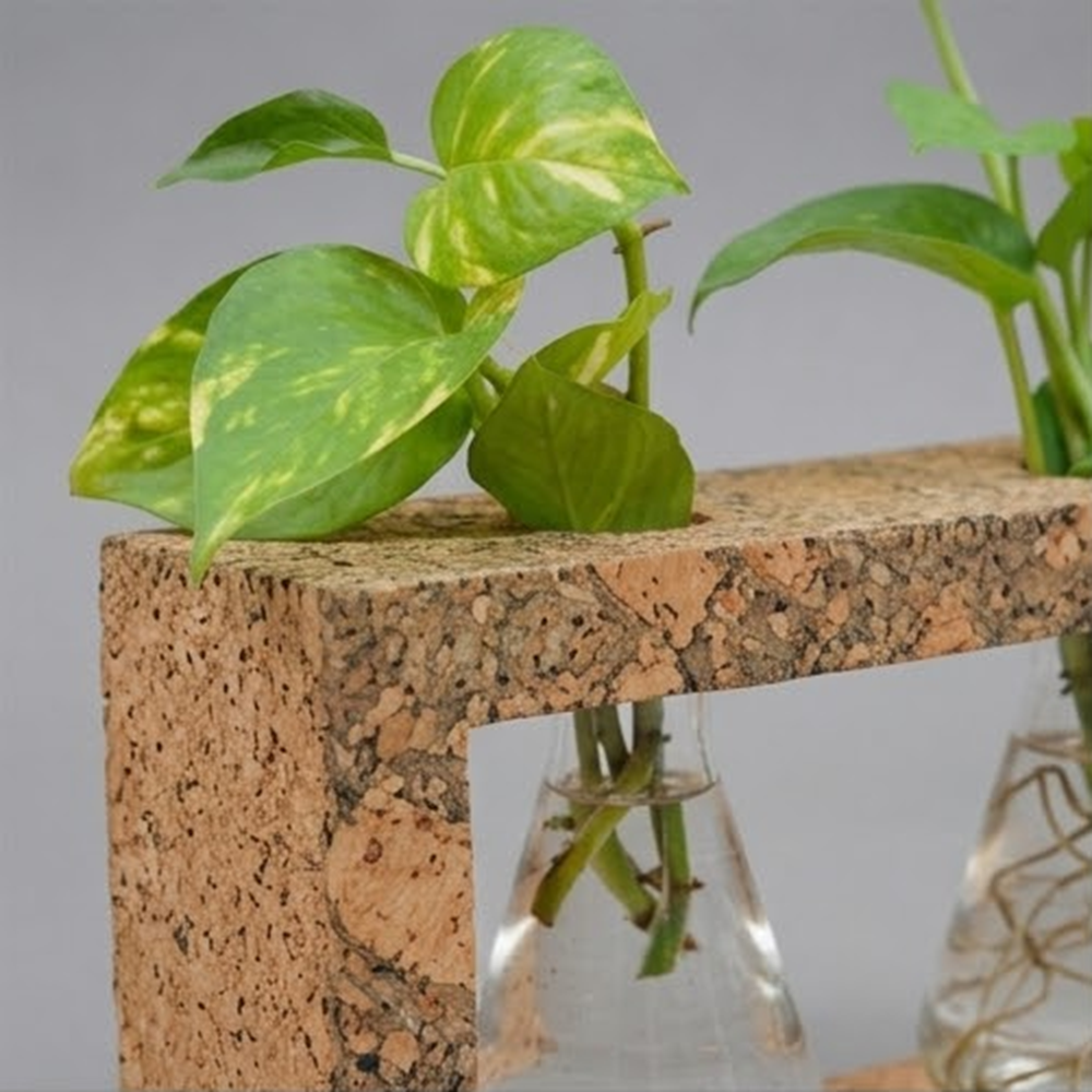 PAIVI Cork Showcase Beaker Planter - Image 2