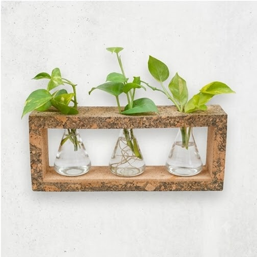 PAIVI Cork Showcase Beaker Planter - Image 4