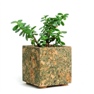 PAIVI Olive Print Cork Planter