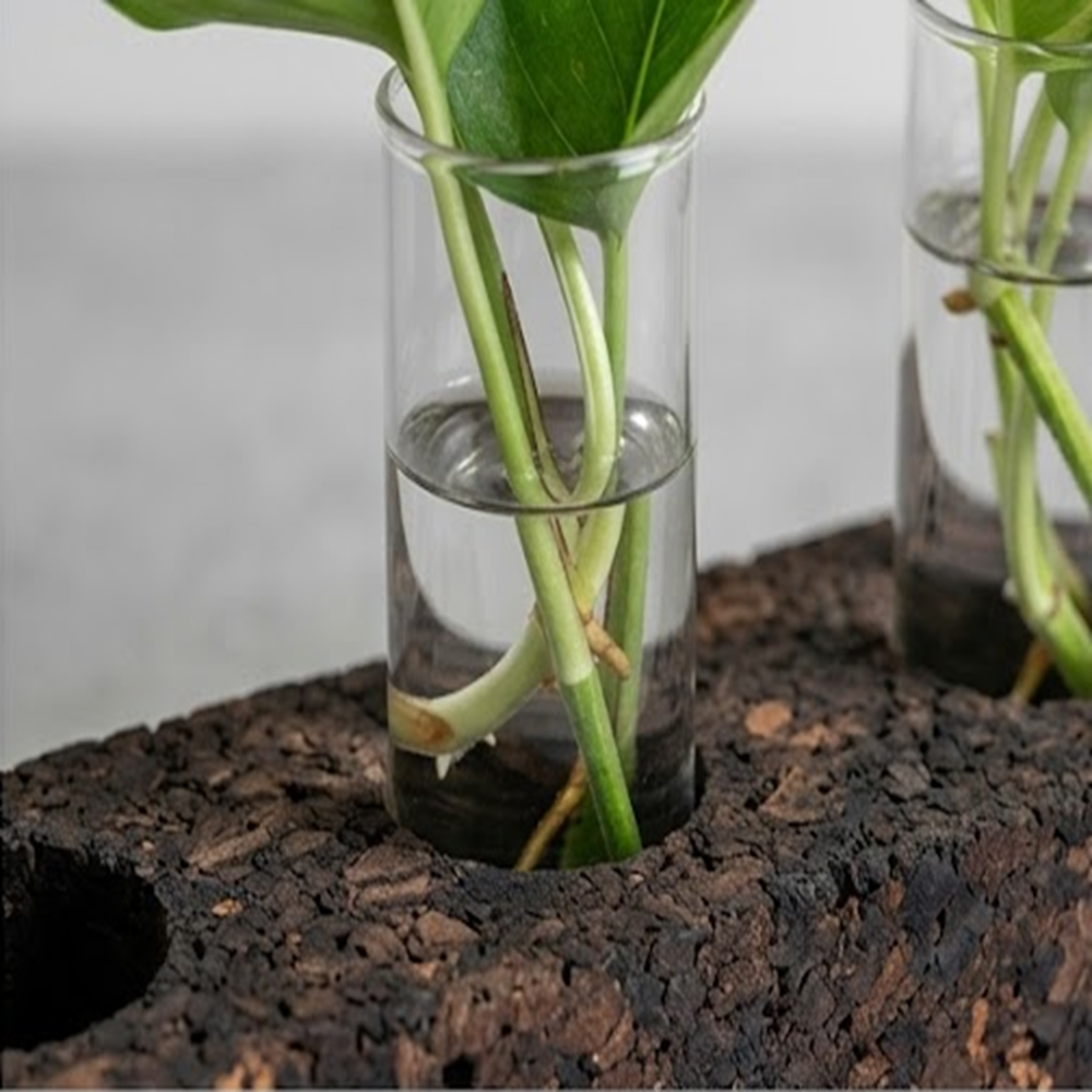PAIVI Bark Edge Four-Hole Planter - Image 2