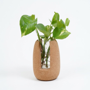PAIVI Pebble Cork Test Tube Planter with Glass Test Tube