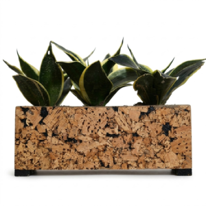 PAIVI Triple Cork Planter