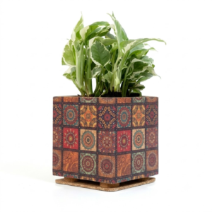 PAIVI Printed Pattern Cork Box Planter