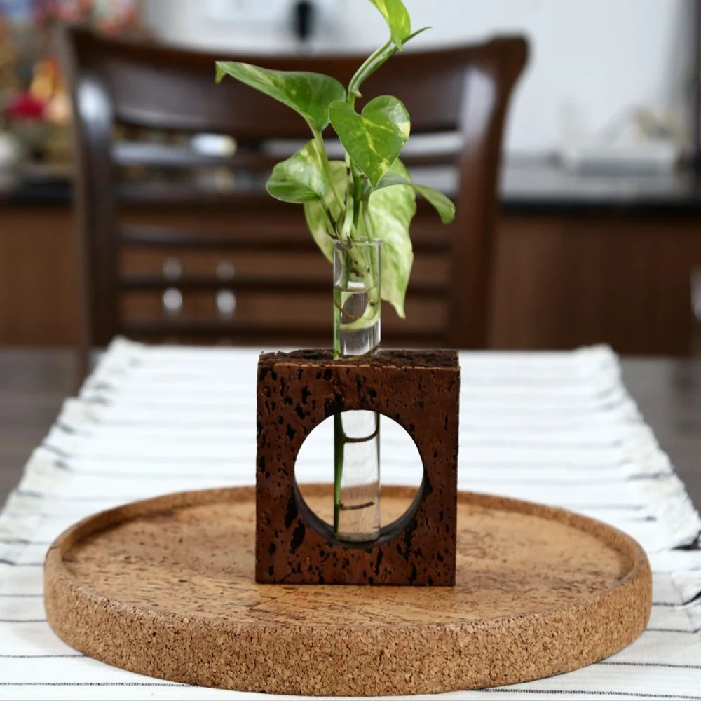 PAIVI Window Bark Cork Planter - Image 5