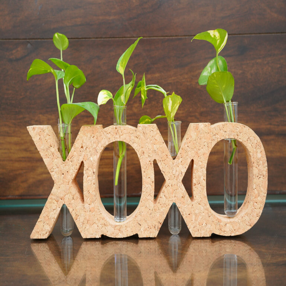 PAIVI XOXO Cork Letter Planter - Image 2