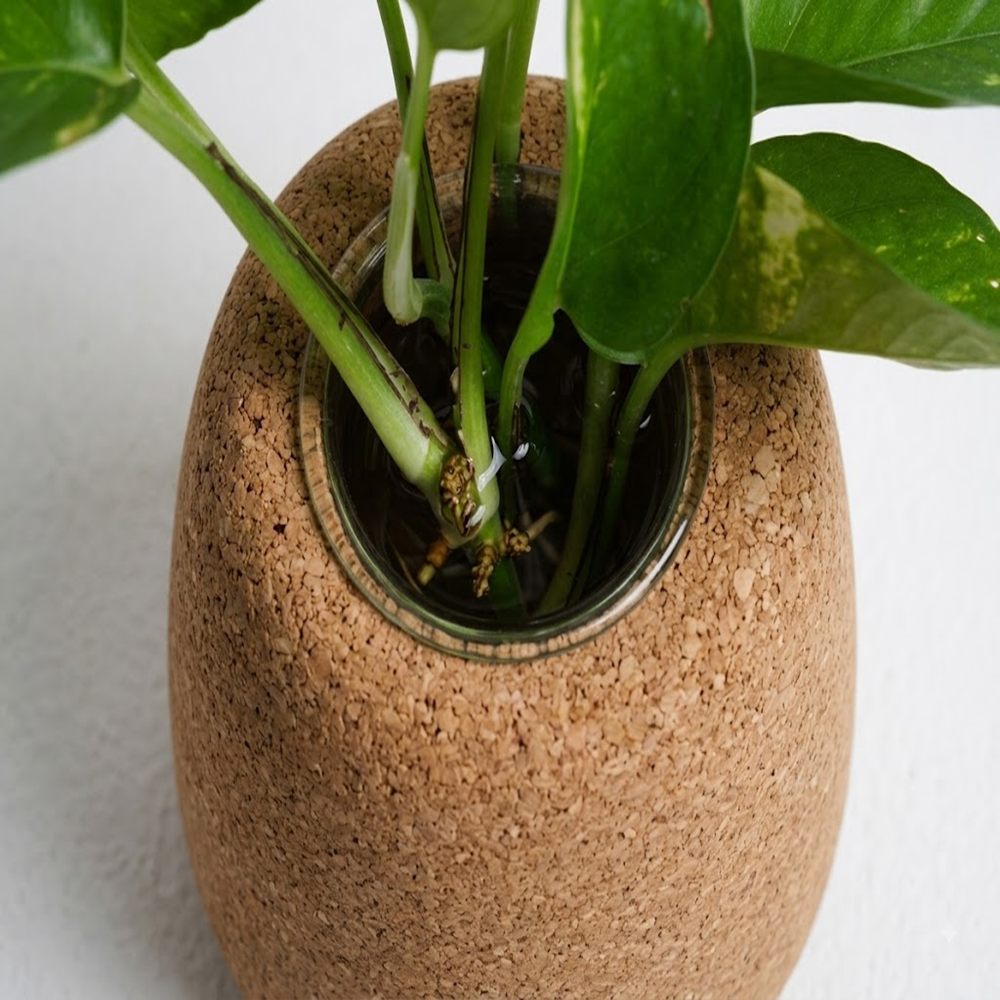 PAIVI Pebble Cork Plant Holder - Image 2