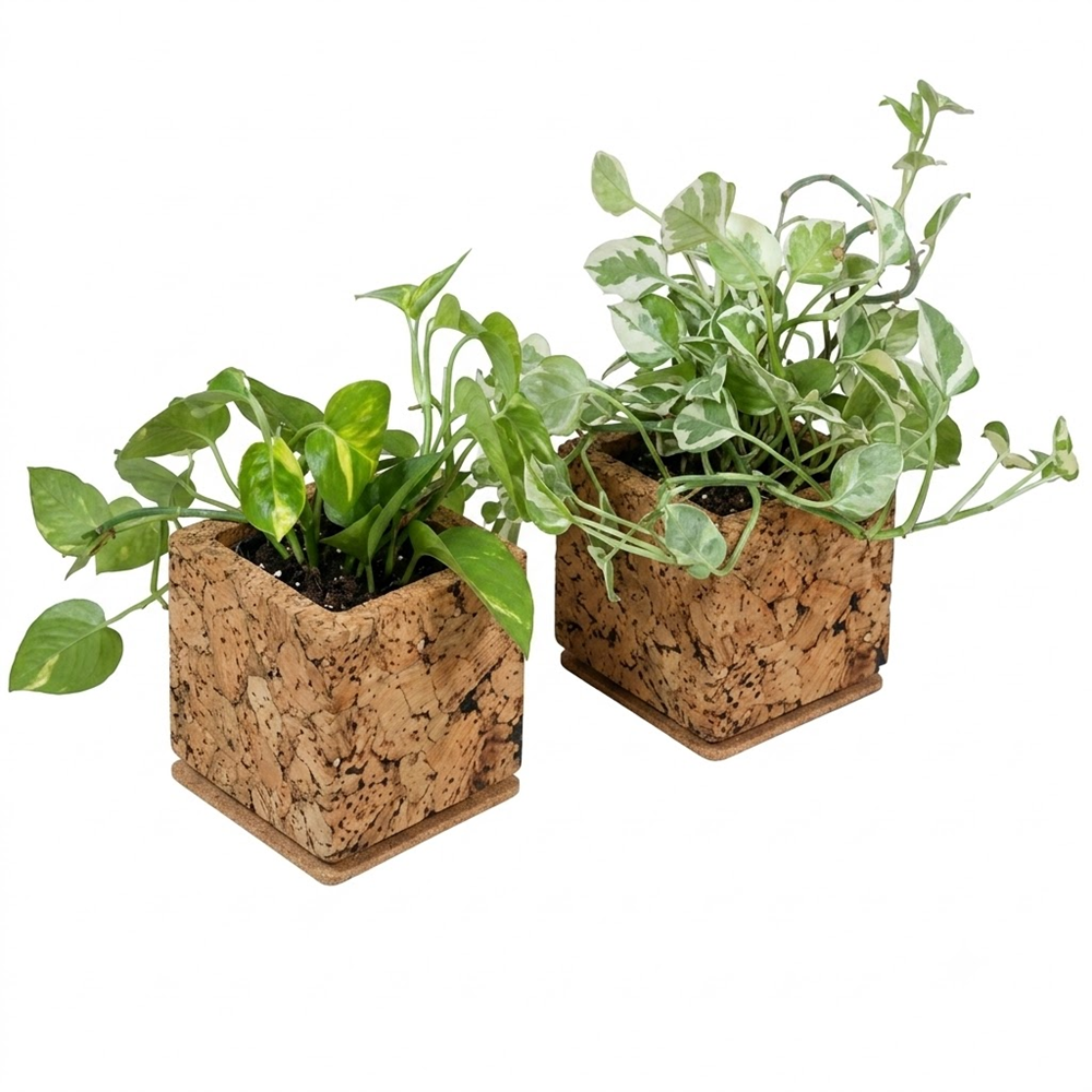 PAIVI Abstract Print Cork Planter - Image 4