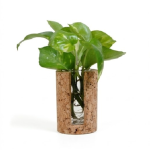 PAIVI Cork Bloom Holder