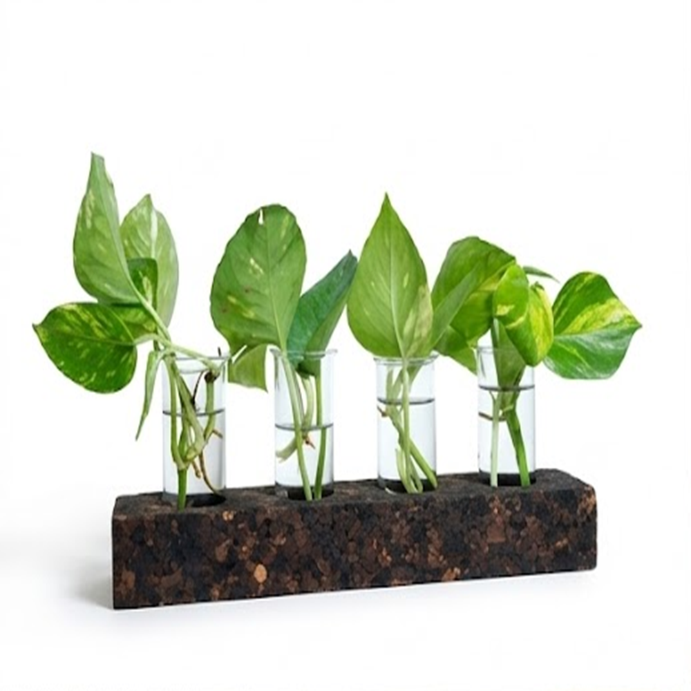 PAIVI Bark Edge Four-Hole Planter