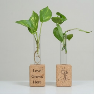 PAIVI Mini Cork Fridge Magnet Planter