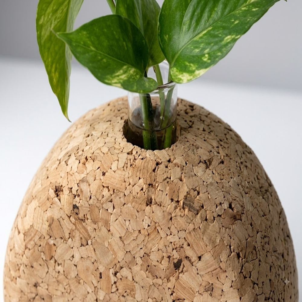 PAIVI Round Cork Sprout Holder - Image 2