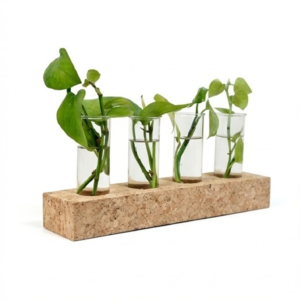 PAIVI Natural Grain Four-Hole Planter