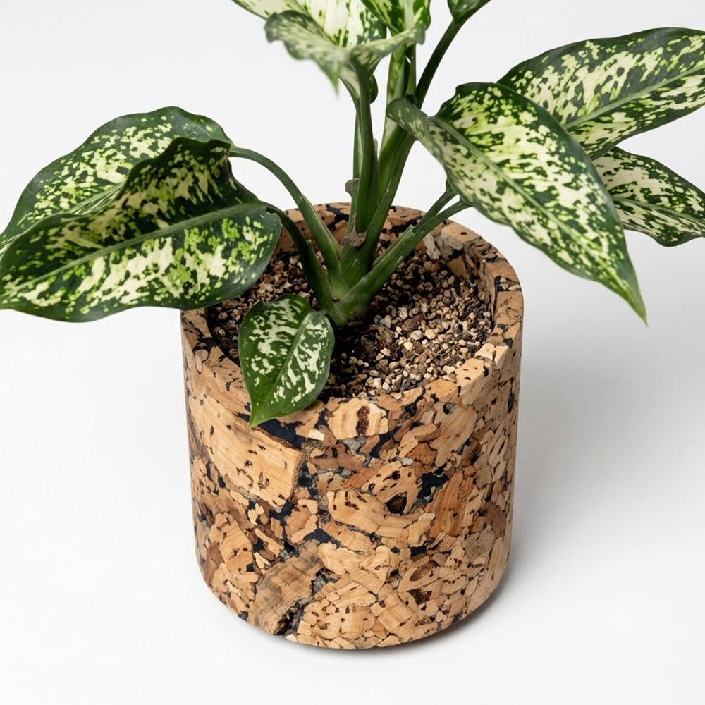 PAIVI Round Abstract Cork Planter - Image 4