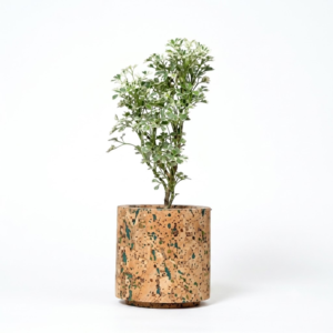 PAIVI Aqua Cork Planter