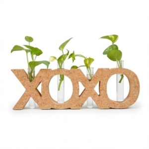 PAIVI XOXO Cork Letter Planter