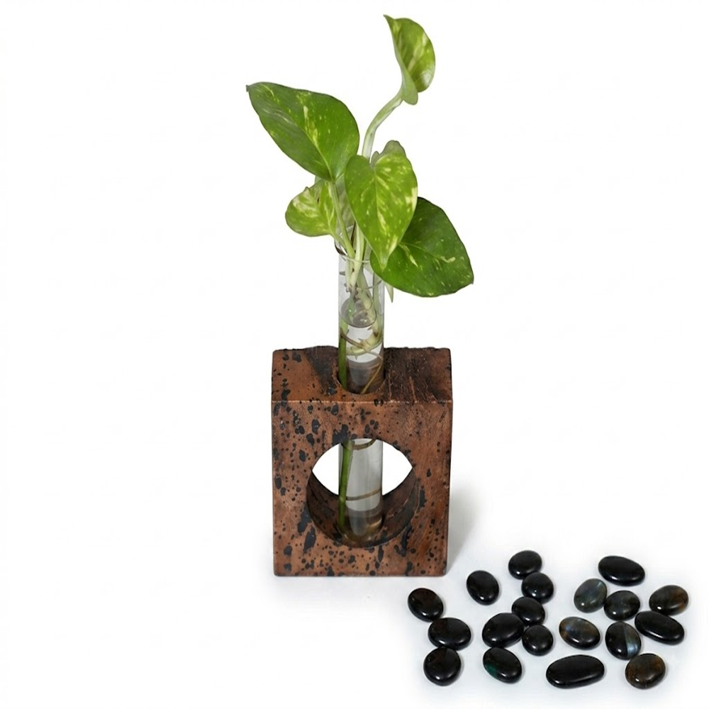 PAIVI Window Bark Cork Planter - Image 4