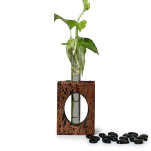 PAIVI Window Bark Cork Planter
