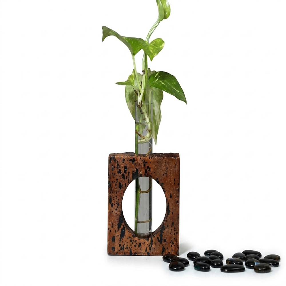 PAIVI Window Bark Cork Planter